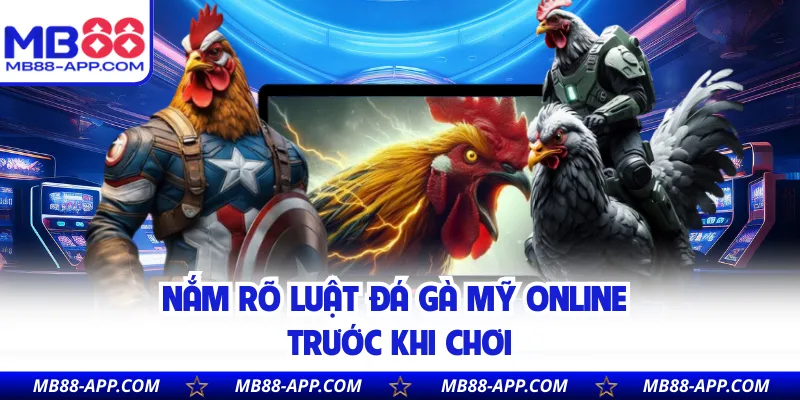 Nắm rõ luật đá gà Mỹ online trước khi chơi